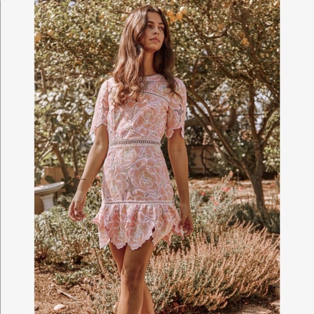 Saylor floral embroidered mini dress